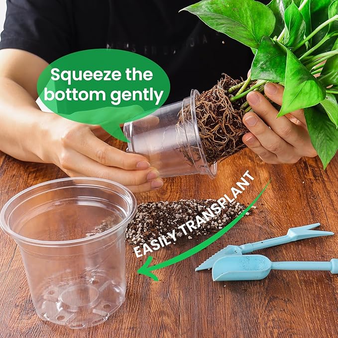 36 Packs 7/5/4/3.5 Inch Reinforced Clear Nursery Pots with Drainage Hole, Transparent Variety Pack Plastic Plant Pot Seedling Planter for Vegetable Propagation, Root Cutting, Seed Starting