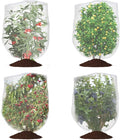 Bird Netting for Garden Protection, CANAGROW 4 Pack Garden Plant Mesh Netting Covers Bags with Drawstring, Insect Bird Barrier Bug Netting for Fruit Blueberry Bushes Vegetable Flower (3.3x4.9FT)