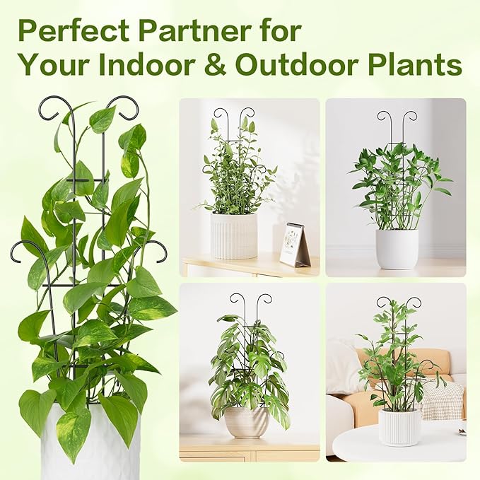 Larger 23.6in Plant Trellis for Climbing Plants Indoor Outdoor, 4 Pack Expandable Metal Trellis for Potted Plants - Sturdy Rustproof Plant Support for Pothos Ivy Hoya Monstera, Houseplant Decor