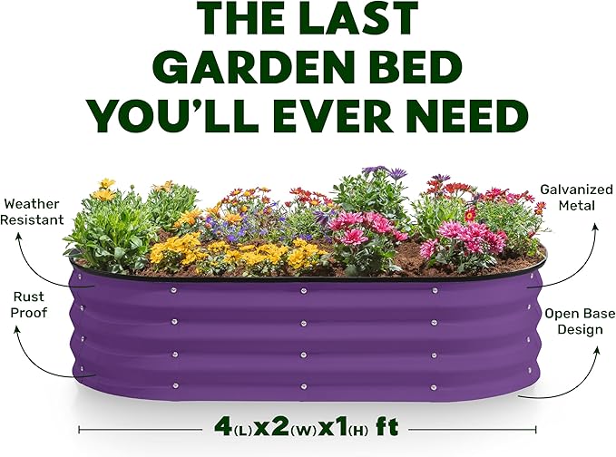 Plant & Plot Galvanized Raised Garden Beds Outdoor // 4×2×1 ft (2-Pack) Planter Raised Beds for Gardening, Vegetables, Flowers (Purple) // Large Metal Garden Box