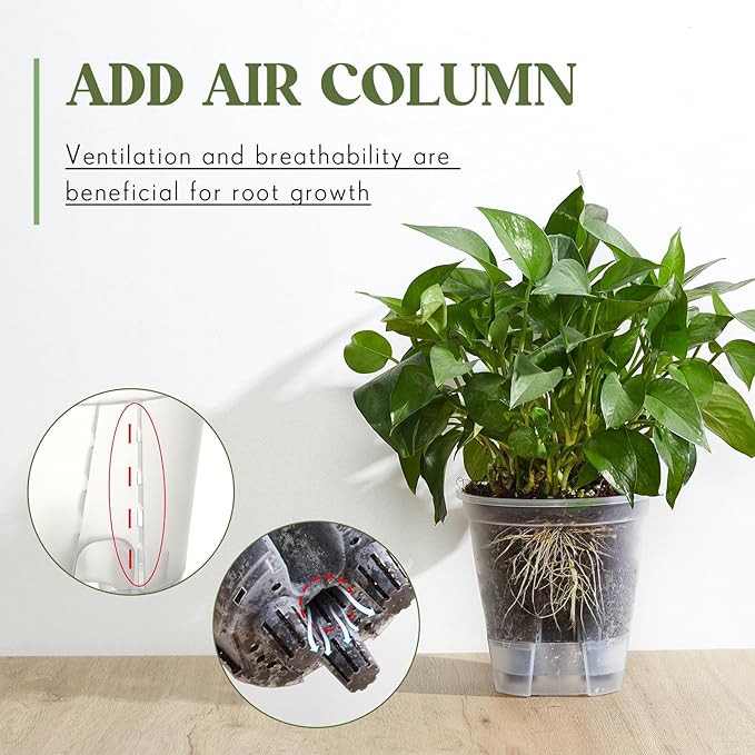 Self Watering Pots for Indoor Plants with Deep Reservoir and High Drainage Holes for Outdoor Plants and Flowers, Bare Root Planter(5.91'',Clear,9 Pcs)