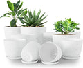 Utopia Home - Spotty Plant Pots Indoor with Drainage - 7/6.6/6/5.3/4.8 Inches Flower Pots - 10 Pack Plastic Planters - Ideal for Stocking Stuffers - (Speckled Grey, Pack of 10)