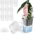12 Pack 2.5" Small Self Watering Pots for Indoor Plants, Mini Clear Plastic Planters, Semi-Hydro, Propagation, Cuttings, Seedlings, Hoya, African Violets, Alocasia, LECA, PON,12 Plant Label