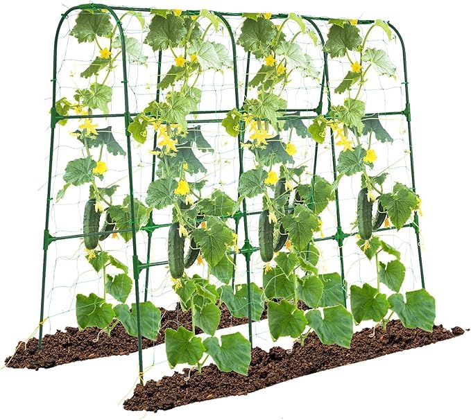 Garden Trellis for Climbing Plants Outdoor, Cucumber Trellis for Raised Bed Garden, Arch Trellis Support for Cucumbers Tomatoes Beans Peas, 50x48 inch, Metal Trellis with Netting, Green