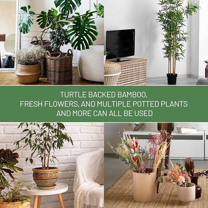4PCS Green Iron Monstera Support, Uniquely Designed Plant Support Stakes for Indoor Plants, Stable Plant Stakes and Supports, Turtle Shell Bamboo Clamp Set for Thriving Growth