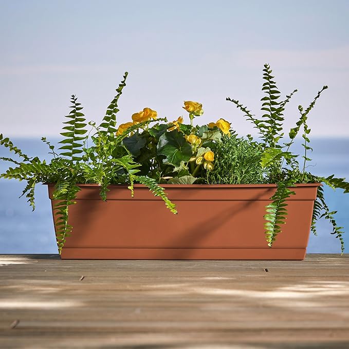 Bloem Dayton 24" Terra Cotta Recycled Plastic Rectangle Window Box Planter with Saucer Tray for Indoor and Outdoor Gardening