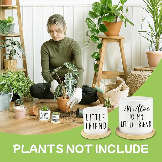 Say Aloe to My Little Friend Planter Pot, Funny Plant Pots, Aloe Plant Pot Succulent Pots with Tray Set of 2 Flower Pots Indoor Pot - Without Plants, Office Home Windowsill Gifts (No Plant)