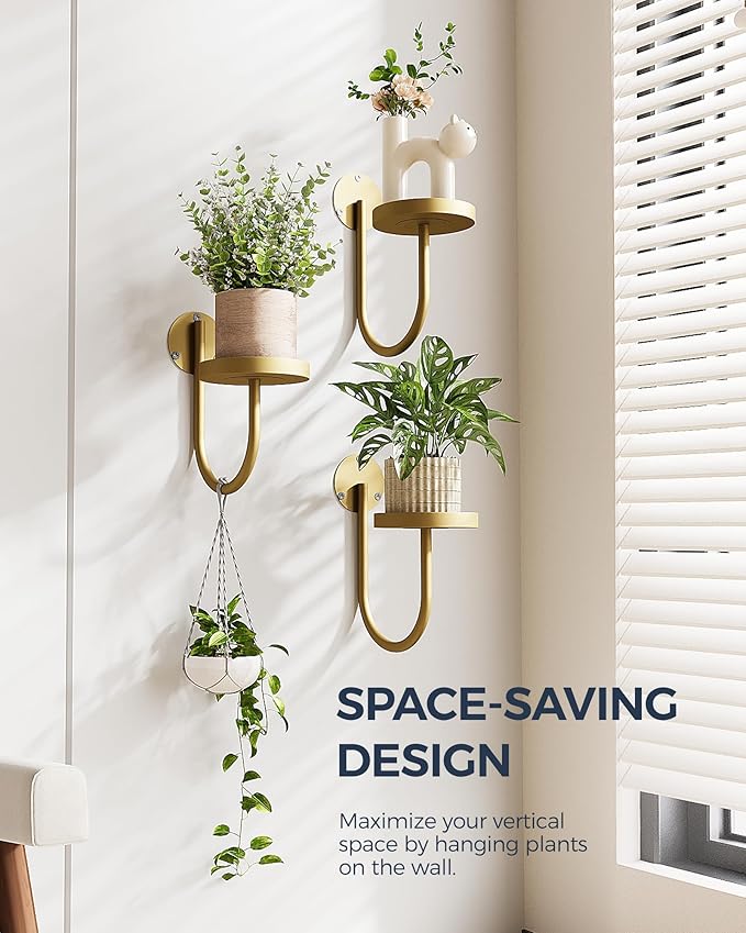 Bamworld Wall Plant Holder Wall Planters for Indoor Plants Plant Hanger Indoor Window Plant Shelves Hanging Plant Holder Window Plant Hanger Plant Decor Golden 3pcs