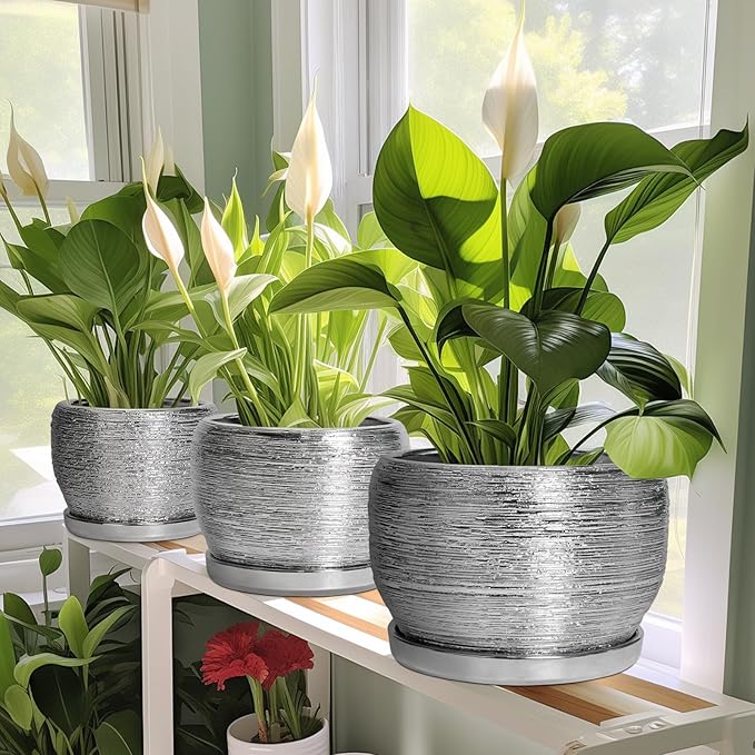 SQOWL Ceramic Pot for Plants - 8 Inch Planter with Drainage Hole and Saucer, Round Planter Indoor Outdoor, Modern Decorative Flower Pot, House Decor, Gifts for Plant Lovers, Silver