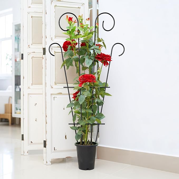 4 Pack 32'' Indoor Plant Trellis for Potted Plants Climbing, Outdoor Metal Garden Trellis Houseplants Flowers Vine Ivy, Wave Shape, Black
