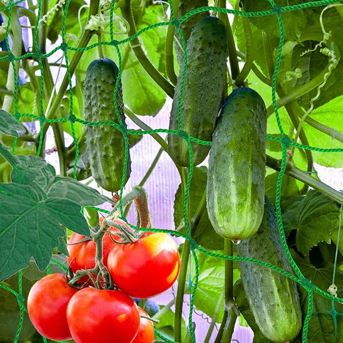 6.5x10FT Plant Trellis Netting,Garden Climbing Grow Net Heavy Duty Polyester Square Mesh Nets for Vining Plant,Tomato,Cucumber,Grape,Fruits,Vegetable