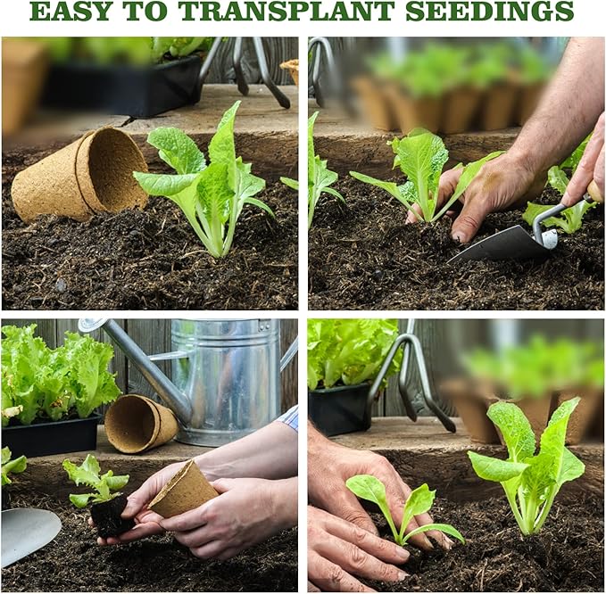 40Pcs 3.15 Inch Peat Pots, Biodegradable Eco-Friendly Round Plant Seedling Starters Kit, Seed Germination Trays with 10 Labels for Flower Vegetable Tomato Saplings & Herb Germination, Khaki