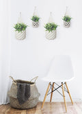 4 Packs Hanging Planters for Indoor Plants, Wall Plant Holder | Plant Hanger Indoor, Wall Planters for Indoor Plants, Hanging Plant (4PK, 2 Large + 2 Small)