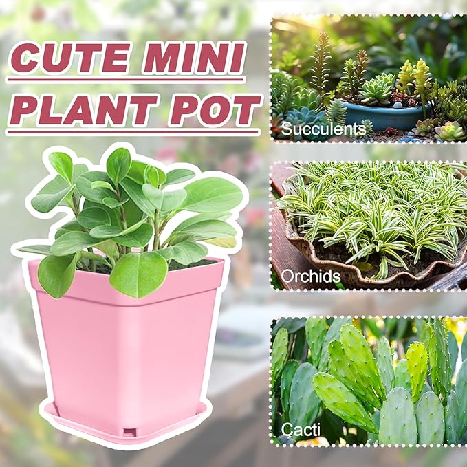 Anyumocz 70 PCS 3" Colorful Plastic Plant Pots,Plastic Square Nursery Pot,Seedling Nursery Pots with Saucers for Indoor Outdoor Plants,Garden,Flower,Home,Office,Balcony Decor