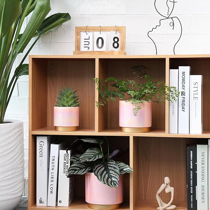 Gepege Pink Indoor Plant Pots for Plants, Ceramic Planter with Drainage Hole, 6.0 inch+5.0 Inch+4.0 Inch. Succulent Orchid Flower Pot - Rainbow Pearl Glaze