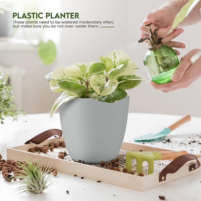 Utopia Home - Plant Pots Indoor with Drainage - 7/6.6/6/5.3/4.8 Inches Flower Pots for Indoor Planter - 5 Pack Plastic Planters - Ideal for Stocking Stuffers or Home Christmas Decorations - Gray
