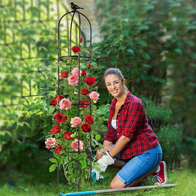 Lalahoni Garden Obelisk Trellis for Climbing Plants Outdoor, 6ft Round Rose Trellis for Pots, Metal Plant Support for Clematis, Jasmine, Ivy, Decorative Outdoor Trellis, Black, 2Pack