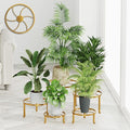 5 Pack Metal Potted Plant Stand Anti-Rust Iron Flower Pot Stands Outdoor Plant Holder,Short Samll Flower Pot Holder Large Rustproof Iron Garden Container