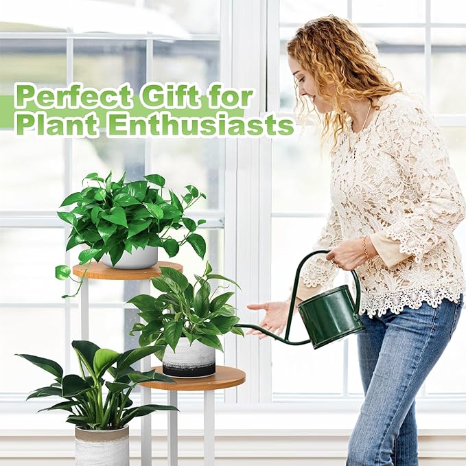 Plant Stand Indoor, 4 Tier Thickened Metal Corner Plant Shelf for Multiple Plants, Indoor Plants Tiered Flower Pot Stand for Patio Garden Balcony Living Room Bedroom (White)