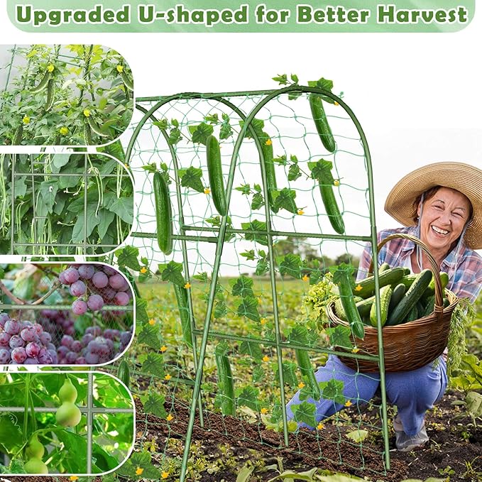 Cucumber Trellis for Raised Bed, Garden Arch Trellis for Climbing Plants Outdoor, Metal Garden Trellis for Spring Vegetables, Cucumber Trellis for Spring Tomato, Bean, Pea, Grape, Plant