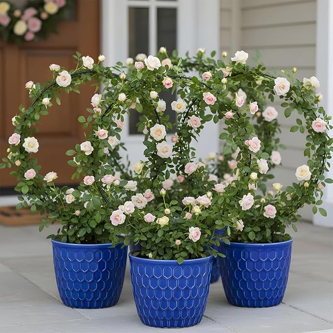 2 Pcs Trellis for Climbing Plants Indoor 14.5" Hoya Trellis Set Small Plant Support Stakes Round Climbing Plant Supports Flower Houseplant Hoya Support for Garden Stem Vines Potted Plants