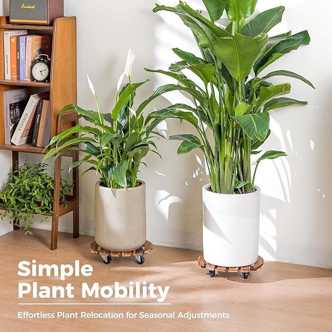 Bamworld Plant Stand with Wheels Plant Caddy Outdoor 4 Pack 12in Rolling Planter Caddy with Swiveling and Lockable Caster for Indoor Patio Plant Dolly Wood Wheeled Mobile Roller