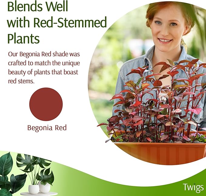 Plant Support Stakes for Indoor & Outdoor Use, Durable Trellis Alternative for Climbing & Potted Plants, Houseplant Stem Holder Structures - Begonia Red, 10 Pack, 22" L, Original