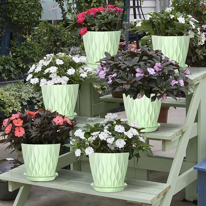 6 Pack 6 Inch Indoor Plant Pots with Drainage Holes, Outdoor Plastic Decorative Flower Pots, Garden Planters with Tray Saucers for Orchids, Violets, Succulents, Herbs, and Other Plants