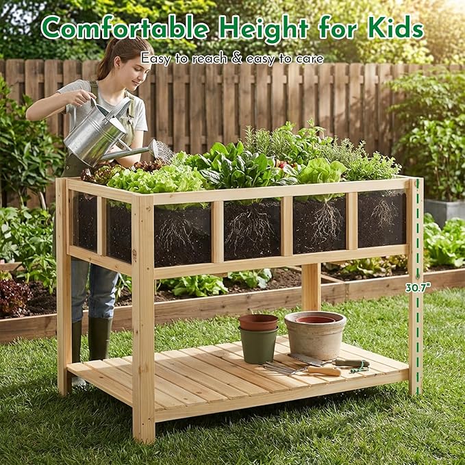 Raised Garden Bed with Transparent Acrylic Panels, Elevated Wooden Raised Garden Bed Planter, Fir Wood Outdoor Planter Box for Herbs, Flowers & Patio Balcony Gardening (Natural)