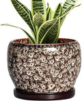 SQOWL Ceramic Plant Pots - 6 Inch Ceramic Planter for Indoor Outdoor, Small Flower Pots with Drainage Hole and Saucer, Decorative Round Planter, Home Office Decor, Plant Lover Gifts, White