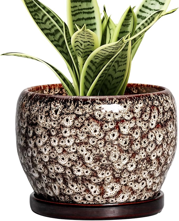 SQOWL Ceramic Plant Pots - 6 Inch Ceramic Planter for Indoor Outdoor, Small Flower Pots with Drainage Hole and Saucer, Decorative Round Planter, Home Office Decor, Plant Lover Gifts, White