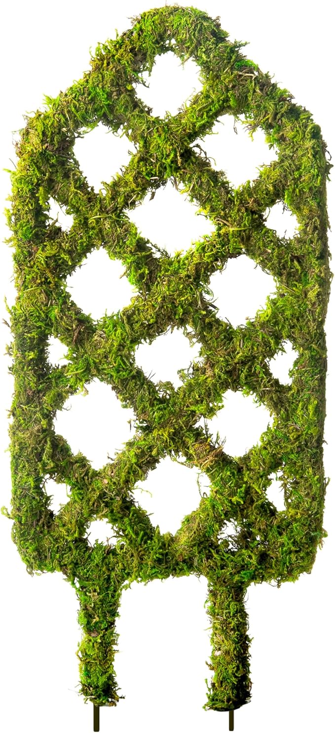 SuperMoss Plant Trellis - Decorative Garden Trellis for Climbing Plants Indoor & Outdoor | Moss-Covered Plant Support for Raised Garden Bed, Patio, Planters, and Garden Decor, Mini 17" X 6.5", Diamond