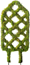 SuperMoss Plant Trellis - Decorative Garden Trellis for Climbing Plants Indoor & Outdoor | Moss-Covered Plant Support for Raised Garden Bed, Patio, Planters, and Garden Decor, Mini 17" X 6.5", Diamond