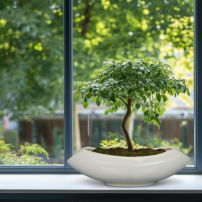 Bonsai Pots 18 Inch - Ceramic Succulent Pots with Drainage Hole Decorative Plant Pot Indoor Large Outdoor Planter Modern Flower Pot for Home Garden Room Decor Gray