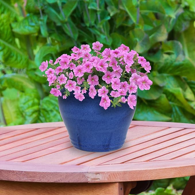Sunnydaze Large Ceramic Plant Pot - Round Outdoor Glazed Ceramic Planter Pot with Drainage - Studio - Imperial Blue - 14.5"