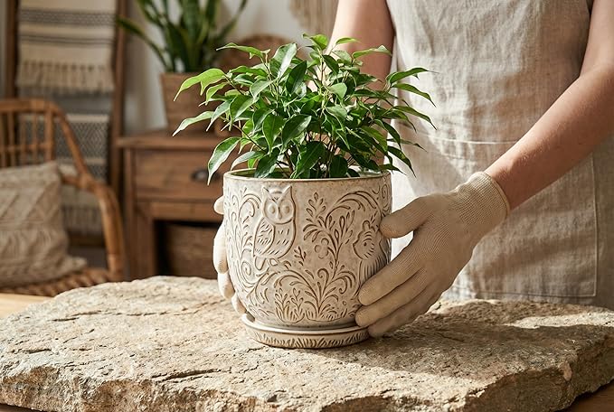 Decorative Ceramic Planter Pot with Saucer, Brown with Gold and Silver Owl Pattern, Indoor Garden Container with Drainage (White, 6 inch)