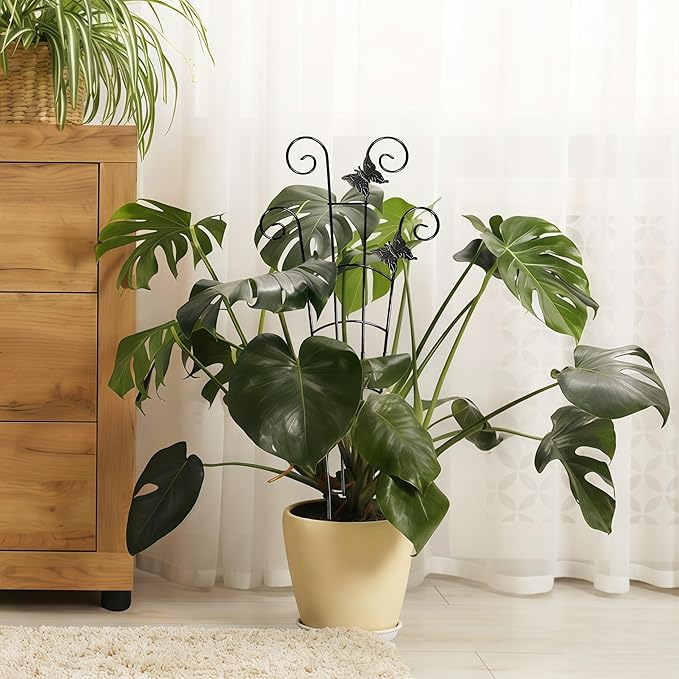 30'' Larger Plant Trellis with Ties Indoor, Expandable Metal Trellis for Climbing Plants Indoor, House Plant Climbing Support for Flowers Vine Ivy Monstera Hoya Pothos, 2P