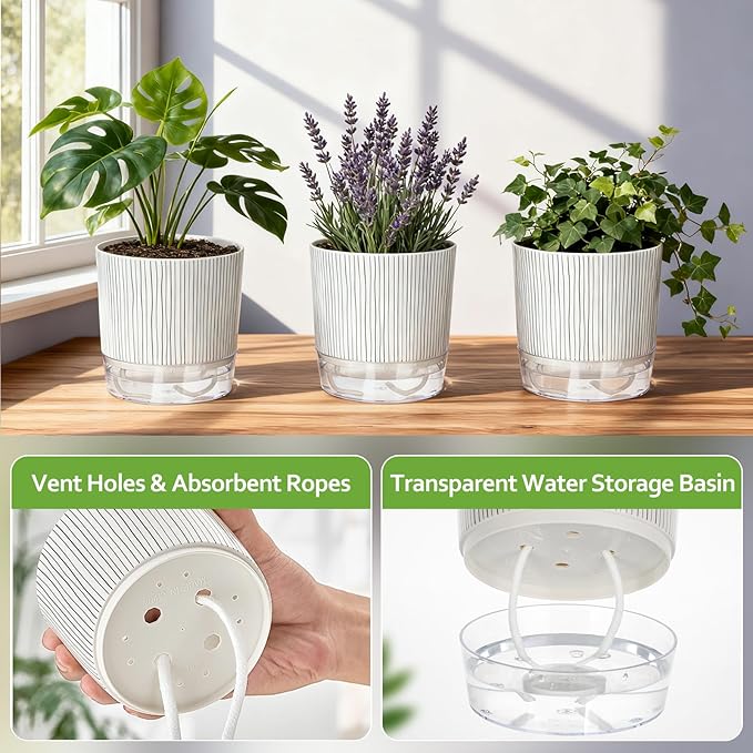 3 Pack Self Watering Pots Set, 5.5 Inch Self Watering Pots for Indoor Plants, Planter Pot with Wick Rope and Reservoir for African Violet, Spider Plant, Orchid