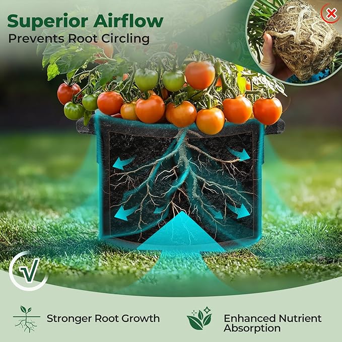 T4U 1 Gallon Grow Bags, Upgrade Grow Bags with Handles, Heavy Duty Thickened Nonwoven Fabric Pots, 1 Gallon Pots for Plants, Herb, Mint, Thyme (5 Pack)