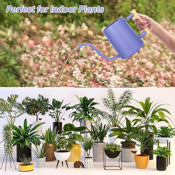 Watering Can Indoor Plants, 35 oz/1000 ml Metal Stainless Steel Watering Can Pot with Long Spout for Indoor House Plants Bonsai Outdoor Garden Flower Decorative (Purple)