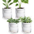 D'vine Dev 4 Inch Design Self Watering Planter for Indoor Plants, White Terracotta Pots with Cylinder Glass Cup, Set of 4, 37-Z-A-2-F