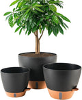 8/10/12 Inch Self Watering Pots for Indoor/Outdoor Plants - Large Plastic Planter with Drainage Holes, Water Level Indicator & Deep Reservoir, Modern Decorative Flower Pots (Black)