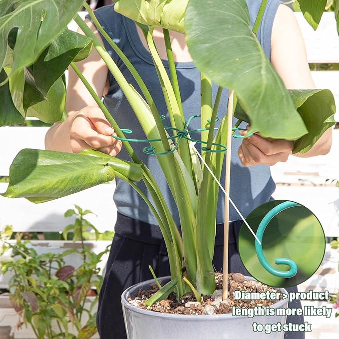 Monstera Plant Stem Support 5 Pcs - 7.5” Indoor Plant Stabilizer Holder for Monstera & Climbing Plants - Durable, Lightweight, Easy to Use for Optimal Growth & Stability - Home Décor Friendly