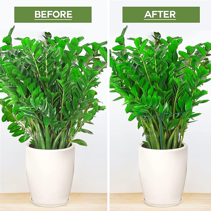 LEOBRO 6 Pack Plant Support Plant Stakes, Metal Peony Support, Garden Plant Supports, Plant Cage, Plant Support Ring, Plant Support Stakes for Peony, Tomato, Hydrangea, Indoor Plants, 9.8 W x 15.7 H