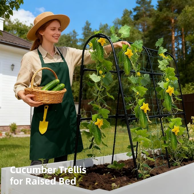 Cucumber Trellis for Raised Bed, U-Shape Garden Arch Metal Support for Climbing Plants, Metal Arch Plant Support Vegetables Trellis, Plant Support for Vine (Black, 31.5 * 30 * 47inch(L*W*H))
