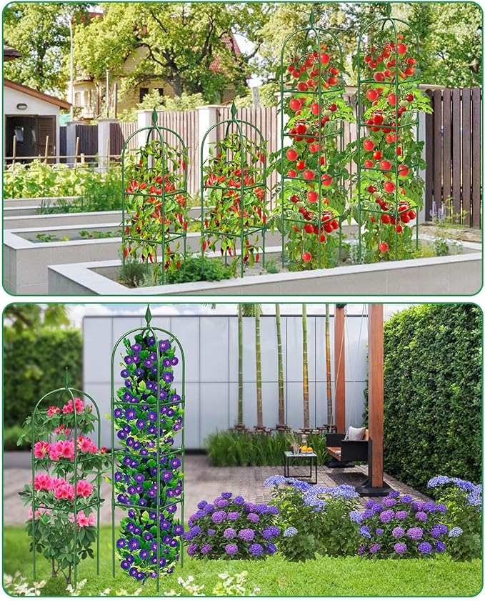 Garden Trellis for Climbing Plants Outdoor & Indoor - 6Ft Tall Rustproof Plant Support Cage for Vines, Flowers, Vegetables, Roses | Heavy-Duty, Adjustable & Decorative (3)