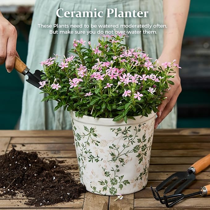 Ceramic Planter with Drainage Hole, Plastic Tray & Mesh, 6.7 Inch - Indoor/Outdoor Flower Pot for Orchids, Succulents, Green Floral Modern Farmhouse Décor for Home,Office and Garden, Ideal Gift