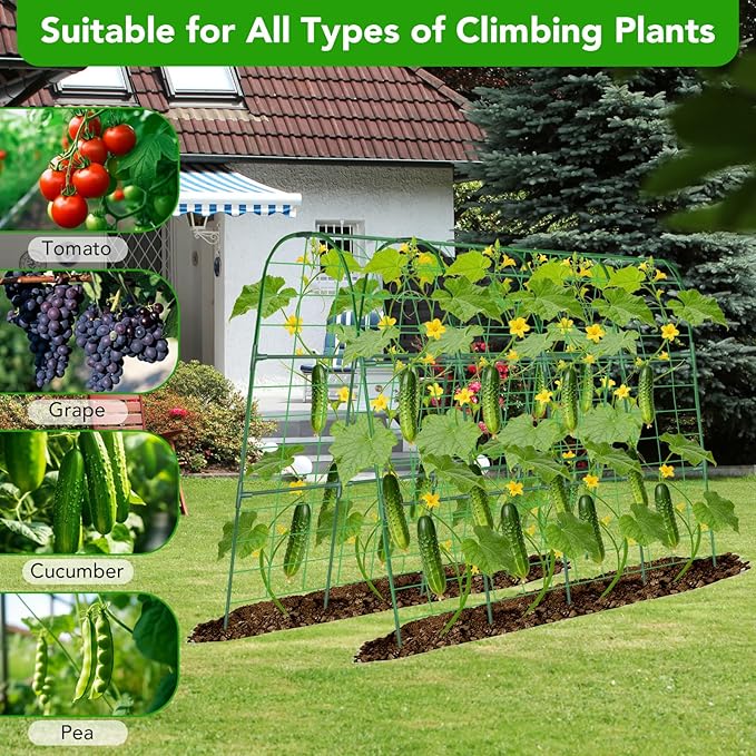Cucumber Trellis for Raised Bed, U-Shape Garden Trellis for Climbing Plants Outdoor, Metal Arch Vegetables Trellis, Plant Support for Grape Vine Beans Squash Peas Flower