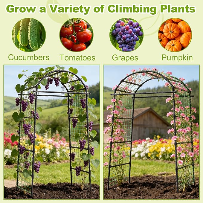 Miory Garden Arch Trellis for Climbing Plants Outdoor, Metal Plants Support Trellis for Climbing Vine Tomato Vegetable Flower Fruit, Cucumber Trellis for Raised Bed (32 x 83 Inch)