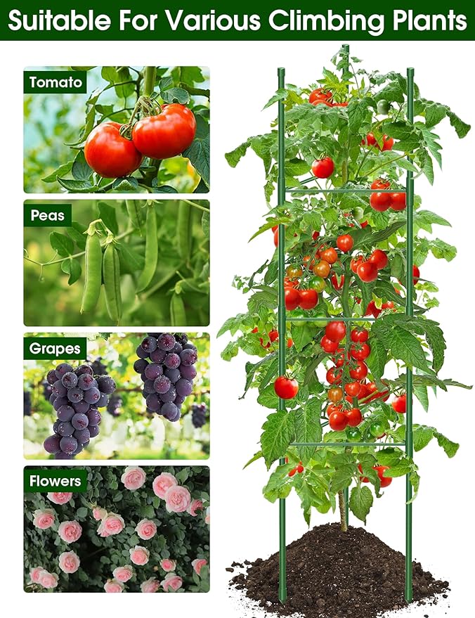 Tomato Cage for Garden,6 Pack Tomato Trellis for Raised Garden Bed Height Adjustable Up to 51.2inch Tomato Plant Support Stakes for Climbing Plants Vegetables Fruits Flowers（Extra Bold）